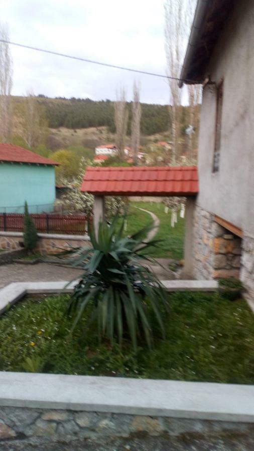 פירוט Guest House Green View מראה חיצוני תמונה