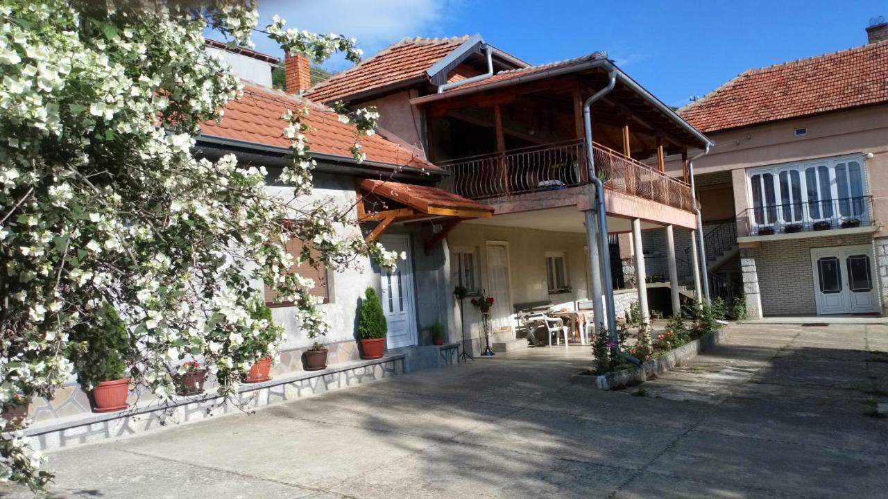 פירוט Guest House Green View מראה חיצוני תמונה